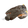 Kingdom of the Worm