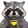 Trash Pandas.
