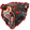 B.E.A.R.S.