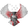 R A P T O R