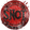 S.N.O.T.