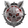 Black Rabbit.