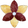 Principality of Soliara