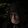 Abbot Zubia