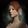 LadySpiral