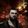 N1ck Tarasov