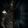 Elit3