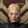 Moira Amadeus