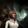 shadow huntress