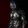 Elix Darkspan