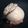 Sandforce