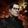 Jacob Armfield