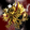 DarkStar Armada