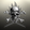 Rayn Enterprises