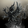 1st Fleet Dragoons