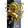 Elite Amarr Navy Academy