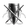 SHIELD OF ARMS.