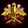 United States Air Force.
