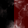 Blood Rose Syndicate