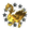 Gallentean Organisation Of Starship Engineers