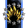 New World Industries
