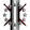 Ghost Fleet Alliance Command