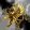 Vengeance Imperium Financial