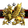 Griffin Empire