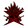 Dark Star Corp