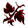 Balroth Corp