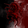 PROJECT RANDOM SQUIRREL
