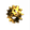 Altrucell