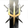 Anominous