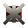 Eternal Deception