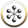Braincells ltd.