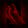Suicide Birds