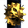 Sigil Shard Enterprises