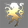 Pan Amarr Commerce Union