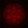 R.isk Inc