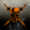 Grievous Intent Holdings