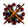 NOAIM