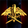 Imperial Corporate Union Executive