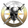 skeleton wheel
