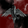 Dread Rising