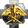 Star Striders