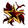 Russian Univers