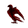 The Forodwaith
