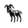 A Brief Experiment