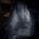 Undergang