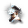 Explosive Energized Membrane I